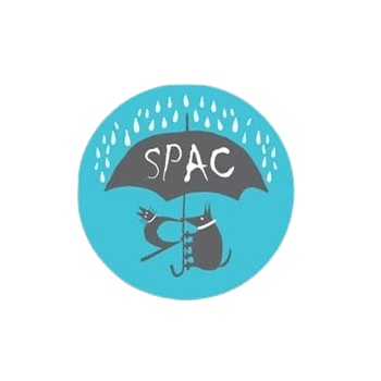 Gala benéfica de dansa a favor de SPAC