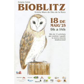 BIOBLITZ - Itinerari ornitològic