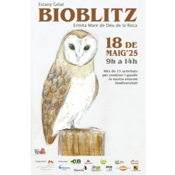 BIOBLITZ - Taller d'amfibis i rèptils