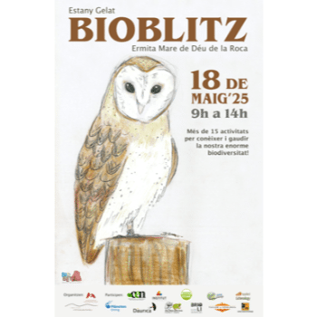 BIOBLITZ - Itinerari ornitològic