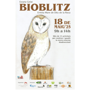 BIOBLITZ - Taller de rastres i mamífers