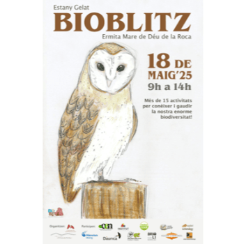 BIOBLITZ - Itinerari ornitològic