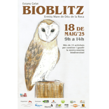 BIOBLITZ - Taller d'anellament d'ocells (Estany Gelat)