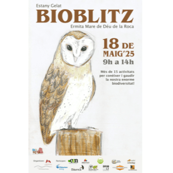 BIOBLITZ - Descoberta geològica