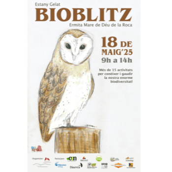 BIOBLITZ - Descoberta Subaquàtica