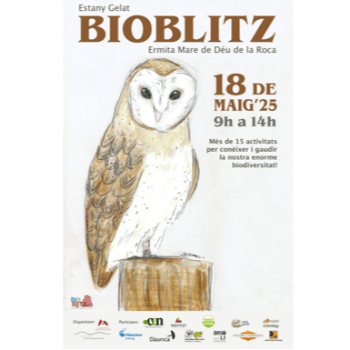 BIOBLITZ - Itinerari Botànic