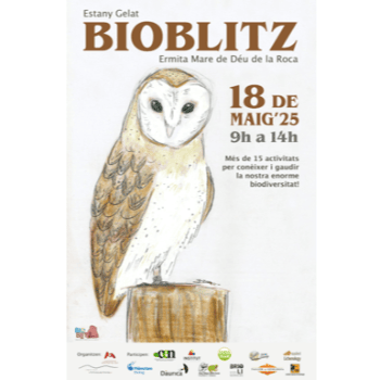 BIOBLITZ - Itinerari d'invertebrats