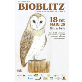 BIOBLITZ - Itinerari ornitològic