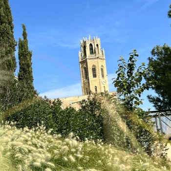 RENATURALITZEM LLEIDA Vine a conèixer els projectes de renaturalització de la ciutat - Visita Riu Ebre