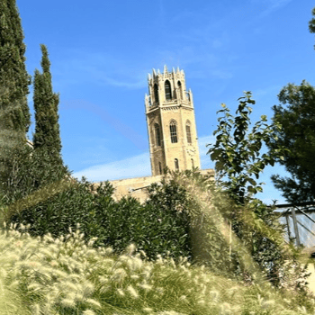 RENATURALITZEM LLEIDA Vine a conèixer els projectes de renaturalització de la ciutat - Visita sendes arbrades
