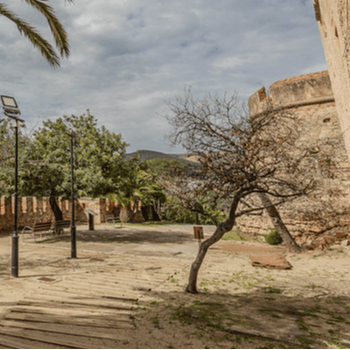 Visita el Castell gener - febrer 2026