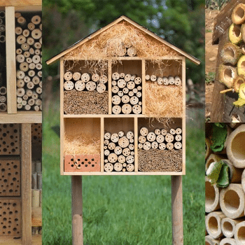 Construïm un hotel d'insectes