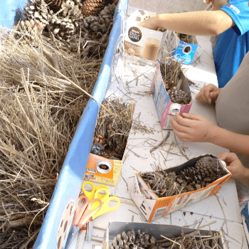 Construïm un hotel d'insectes
