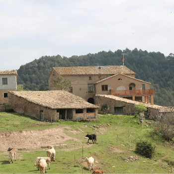 Païssa gastronòmica a Mas Terricabras