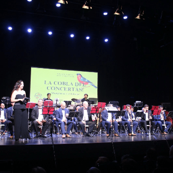 El Concertàs de Nadal