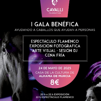 1ª Gala benéfica Fundación Cavalli