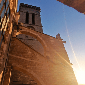 Vesprades d'estiu a la Seu