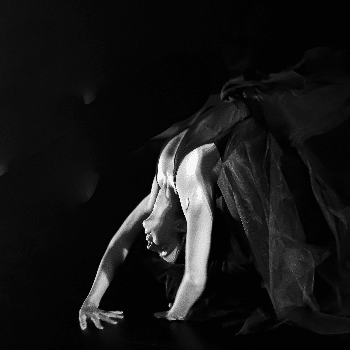 Districte Flamenco - Ciutat Flamenco