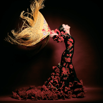 FlamencoEvolution Beatriz Higueras