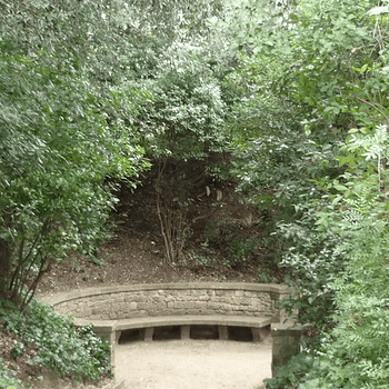 Els arbres de Montjuïc i la seva historia