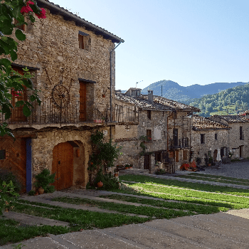 RIPOLLÈS DISCOVERY WALKING 2025 - Sortida botànica a la riera de Vallfogona