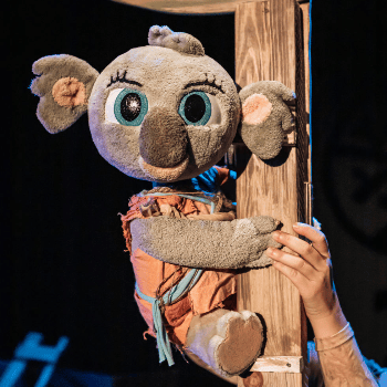 "Bunji, La Petita Coala" de la Cia. Festuc Teatre