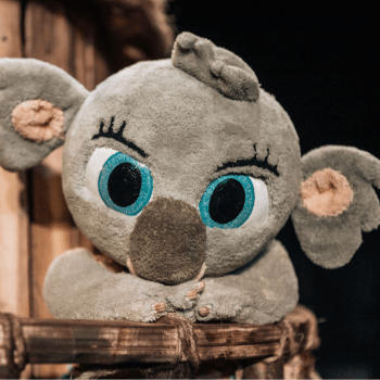 "Bunji, La Petita Coala" de la Cia. Festuc Teatre