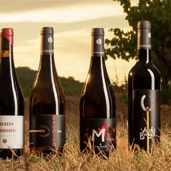 Tast d'aliments de garrofa de Menjamiques i els vins del Celler Matallonga