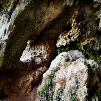 Itinerari a la Font del Foradot de Mura. Els secrets de la pedra tosca