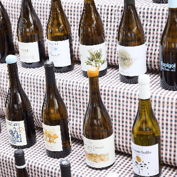11a Setmana Malvasia de Sitges // TAST MALVASIES DO PENEDÈS