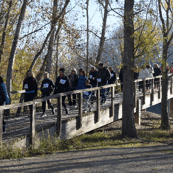 l'IMO Camina per la Marató