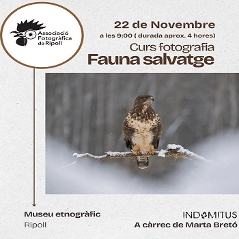 Curs de fotografia de fauna salvatge. Setmana Ciència 25