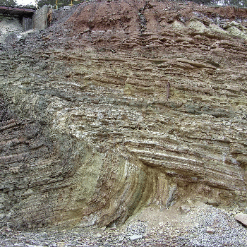 Sortida naturalística guiada a la falla del Guix, el torrent de Soldevila i la roureda de la Malesa