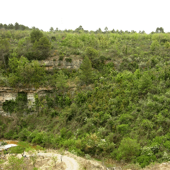 Sortida naturalística guiada a la falla del Guix, el torrent de Soldevila i la roureda de la Malesa