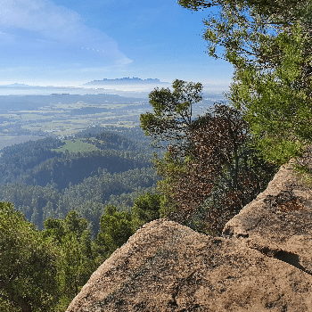 Itinerari guiat al mirador de Roques Albes