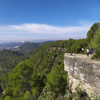 Itinerari guiat al mirador de Roques Albes