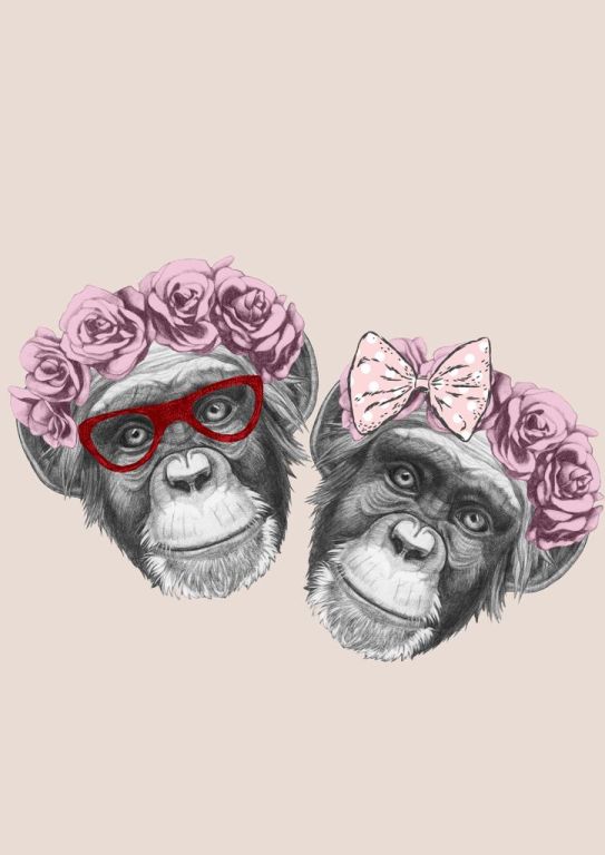 LA MEMORIA DE LOS CHIMPANCÉS