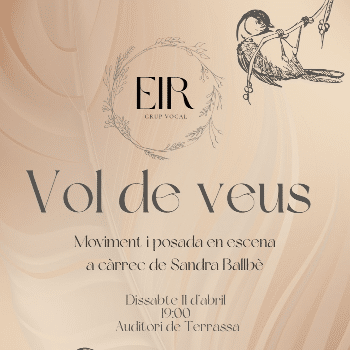 Vol de veus