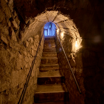 Visita al Refugi antiaeri. Patrimoni i Memòria Històrica