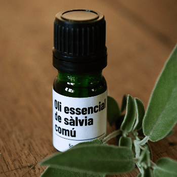 Taller de destil·lació de plantes medicinals en alambí de coure i introducció a l'aromateràpia clínica