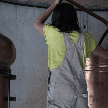 Taller de destil·lació de plantes medicinals en alambí de coure i introducció a l'aromateràpia clínica