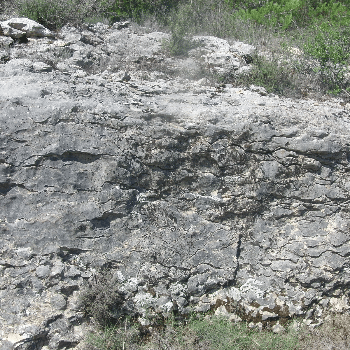 Sortida geològica al Parc del Llac de Navarcles: un mar tropical ple de vida