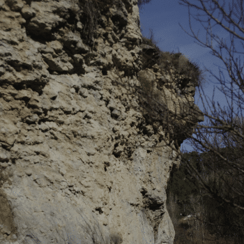 Sortida geològica al Parc del Llac de Navarcles: un mar tropical ple de vida