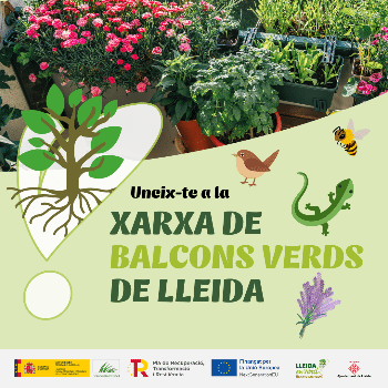 Assessorament balcons verds. Nivell avançat