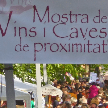 X Ruta d'enoturisme 2026.