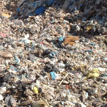 Ecodescoberta. On van a parar els nostres residus? - Ecoactivitats 2026