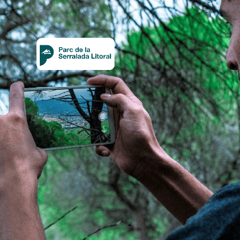 Iniciació a la fotografia de natura (Sortida de camp)