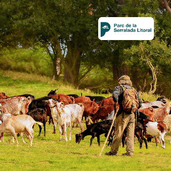 Entre pastures i llegat rural