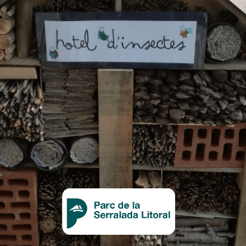 Fem el nostre hotel d'insectes