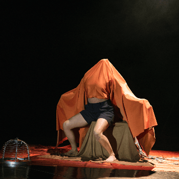 ESCOLA INAC (Portugal): CIRCO POTÁVEL (Alumnes de 2on Curs)